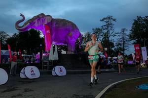 BIB: 
                            <button type="button" onclick="openModal(26529724)" class="btn btn-primary btn-sm float-right btn-popup" data-toggle="modal" data-target=".modal-high-quality">
                        <i class="fas fa-shopping-cart"></i> Add to Cart
                    </button>
                                            <button type="button" onclick="isThisMe(26529724, true)" class="btn btn-success btn-sm float-right btn-popup btn-isme hidden" data-toggle="tooltip" data-placement="bottom" title="นี่คือรูปของคุณใช่ไหม คลิกที่นี่เพื่อเอาเข้าอัลบั้ม">
                        <i class="fas fa-plus"></i> Add to album
                    </button>
                    <button type="button" onclick="isThisMe(26529724, false)" class="btn btn-warning btn-sm float-right btn-popup btn-isnotme hidden">
                        <i class="fas fa-ban"></i> Remove from album
                    </button>